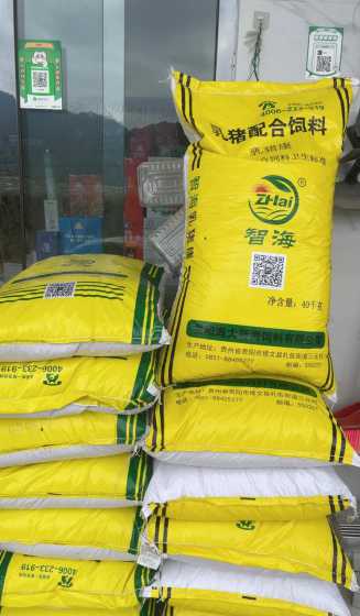 猪饲料跟什么搭配比较好 小猪饲料怎么配