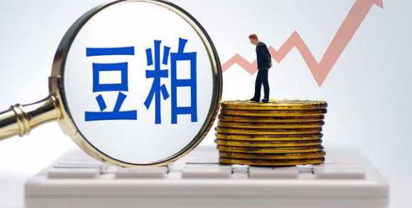 养猪用黄豆代替豆粕行吗 黄豆皮可以代替豆粕吗