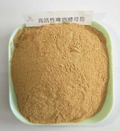 羊饲料可以加酵母粉吗 羊用饲料发酵剂的用法,发酵秸秆、酒糟,鸡粪喂羊可以吗