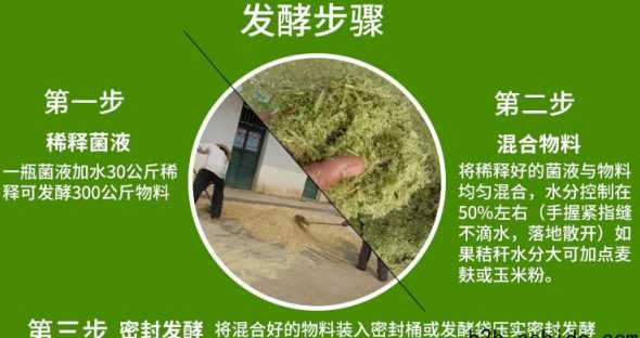 发酵饲料如何能一次成功 饲料是如何发酵和保存的