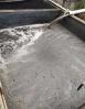 水泡粪底粪太硬如何去除 建设猪舍使用水泡粪好还是刮粪机好