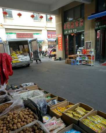 浙江饲料原料交易市场 现货市场共有那些