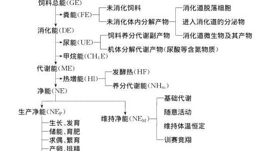 饲料能量营养价值体系 国际饲料分类体系的各个类别介绍
