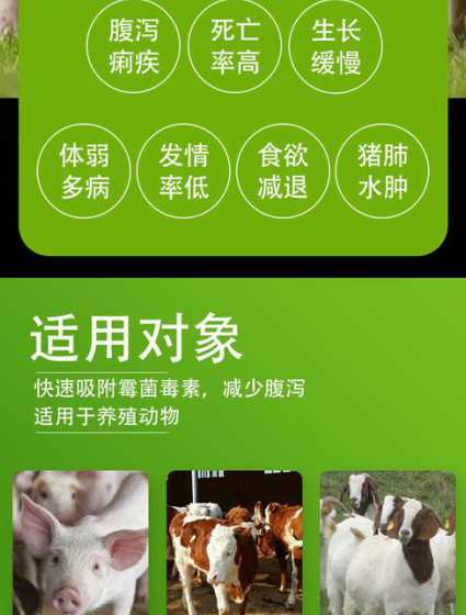 脱霉剂羊吃了有什么危害 小羊羔拉稀用什么药治疗