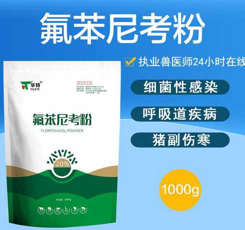 什么动物可以用氟苯尼考 哪些猪病的治疗首选氟苯尼考如何高效使用