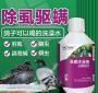 信鸽身上有虫用什么洗澡 鸽子身上有羽虱怎么办