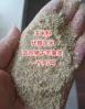 猪吃的玉米粉多少钱一斤 猪吃玉米面一天能长多少斤