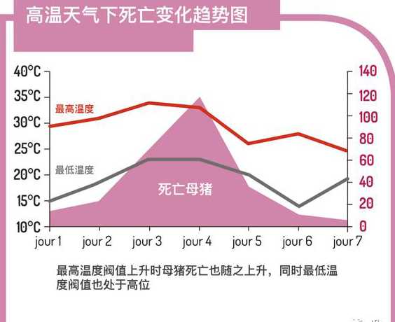 夏季猪场温度应该是多少 夏季的温度比较高,养猪场该如何降温