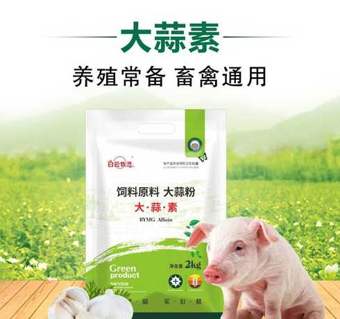 牛羊饲料可以添加大蒜吗 母牛吃蒜黄根有好处吗