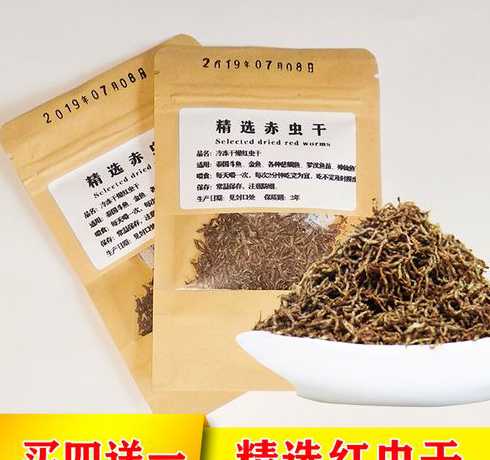 冻干红虫和活红虫哪个好 泰狮喂冻干红虫好吗