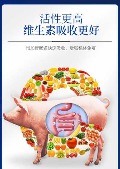 羊喂饲料能放维生素吗 在养羊的时候没有草,只喂饲料可以吗
