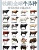 牛什么阶段长得快长肉多 怎样养牛能让肉牛长得快还多长瘦肉、提高屠宰率