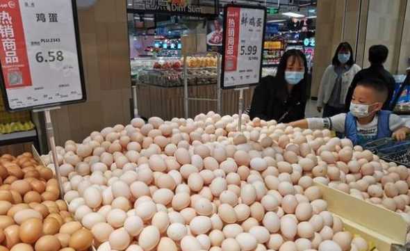 宁夏鸡蛋一斤多少钱一斤 怎样识别好鸡蛋近期市场鸡蛋多少钱一斤