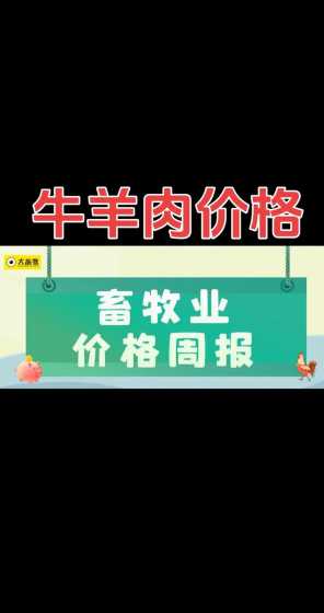 河北羊肉牛肉多少钱一斤 牛羊肉多少一斤