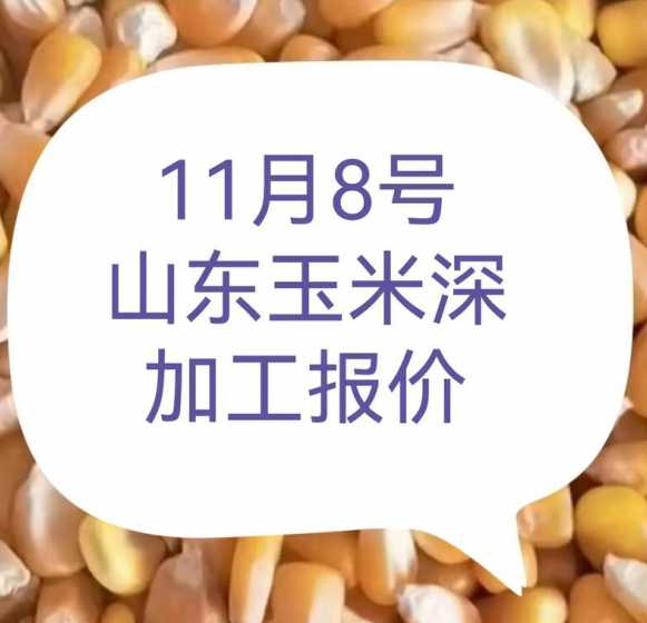 现在山东玉米多少钱一片 山东现在玉米多少钱一斤