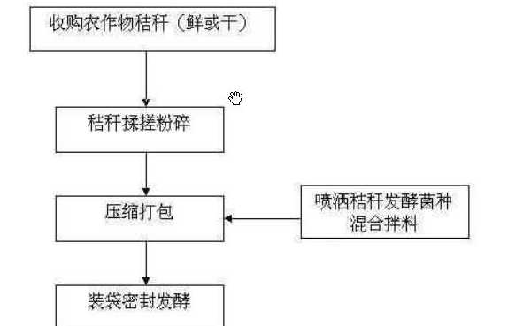 玉米秸秆发酵饲料的方法 干草干稻草干玉米秸秆怎么发酵喂羊