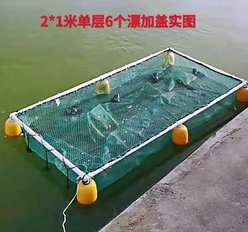 水库网箱养什么高品质鱼 在河里 网箱养殖什么鱼好