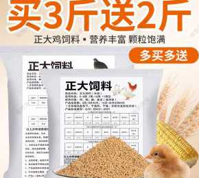 鸡饲料的保质期是多少天 煎鸡蛋的保质期多长