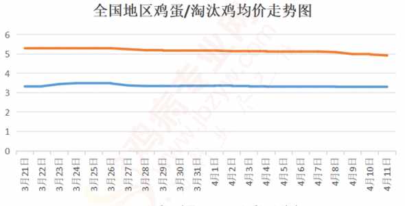 5月11号淘汰鸡多少钱 肉食鸡毛鸡出栏多少钱2024年12月29