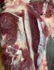 养猪一公斤饲料长多少肉 猪长一斤需要几斤饲料,比例是多少