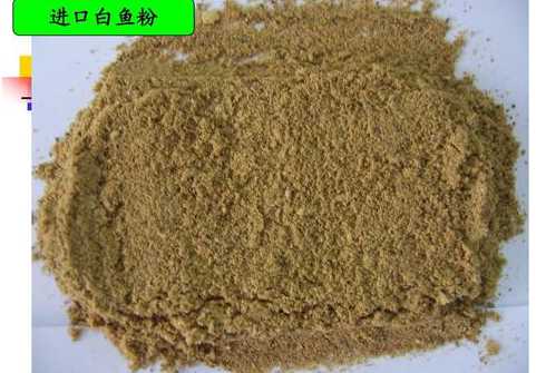 白鱼粉与红鱼粉的区别 秘鲁红鱼粉和白鱼粉哪个好