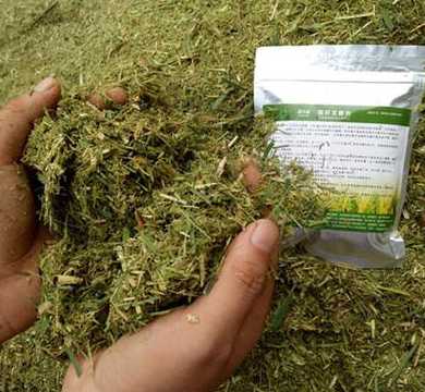 发酵的青贮有哪些有益菌 常用发酵剂由哪些物质组成