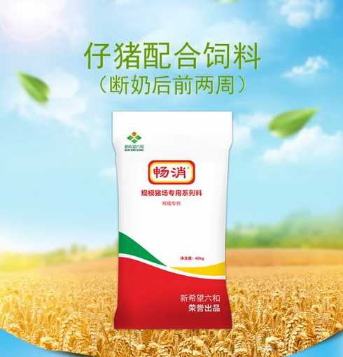 山东省什么猪饲料质量好 山东省适合养什么鹅