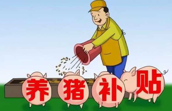 2024养猪有什么补贴 贵州省2024年对养猪场有哪些扶持政策
