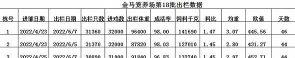 肉鸡多少天出栏有多少斤 肉鸡多久出栏