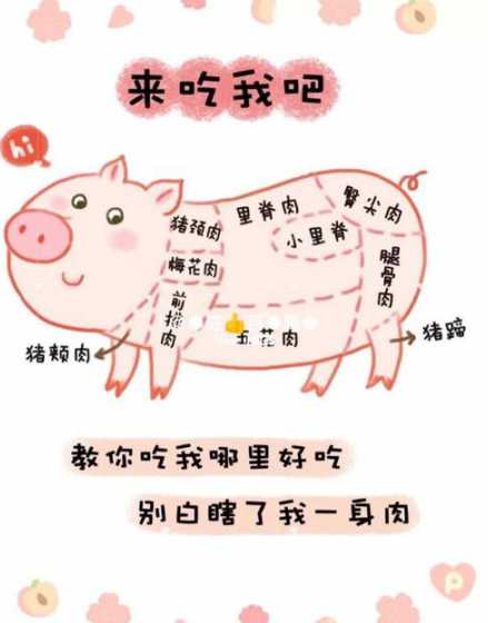 大猪不吃猪食有什么方法 大猪不吃食怎么办