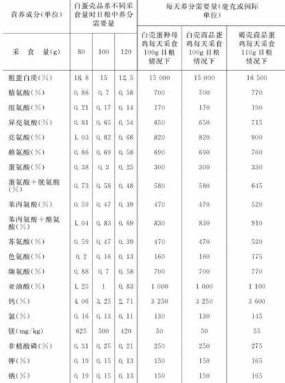 白羽鸡出栏需要多少饲料 白羽鸡的饲养程序是怎样的