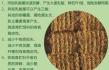 青贮饲料的发酵是什么菌 微生物em菌发酵青贮饲料有什么好处