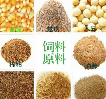 饲料原料如何感官识别 如何辨别鲜牛奶
