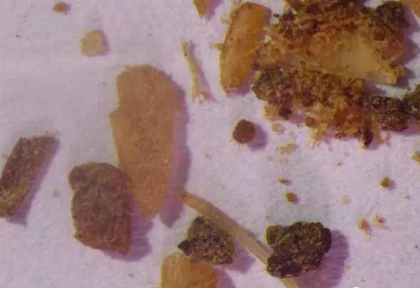 鱼粉中未知掺假物鉴别 求助掺假鱼粉的判别方法有哪些