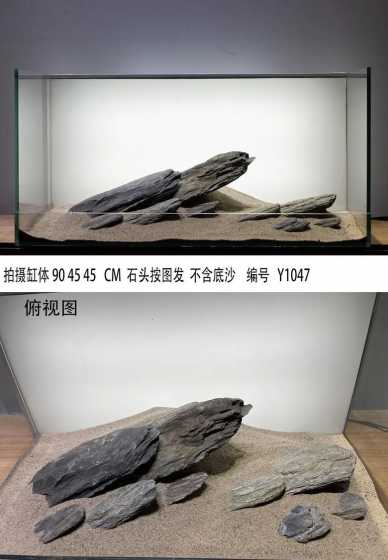 南美鱼缸造景用什么石头 鱼缸下面放石头可以吗,