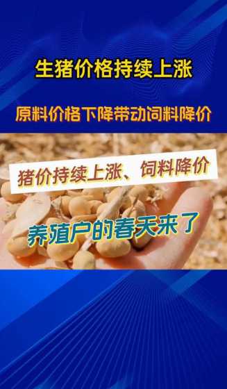 普瑞纳猪饲料的详细价格 普瑞纳哺乳母猪饲料吃后便秘怎么回事