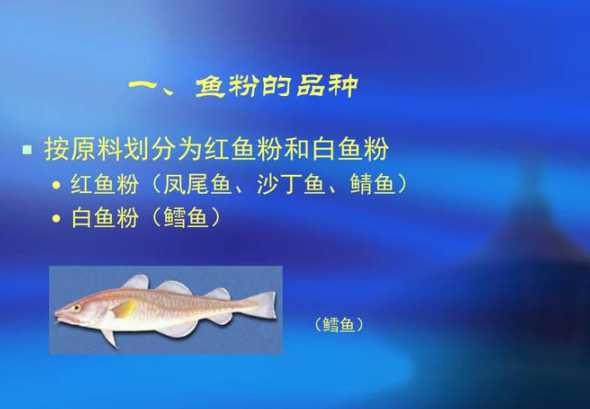 秘鲁鱼粉以什么鱼为主 白鱼粉和秘鲁鱼粉的区别