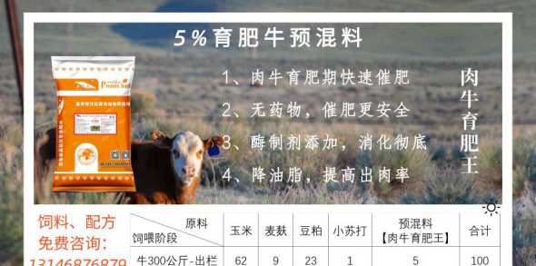 养牛哪个时候开喂添加剂 养牛不喂精饲料可以吗,牛饲料添加剂有哪些
