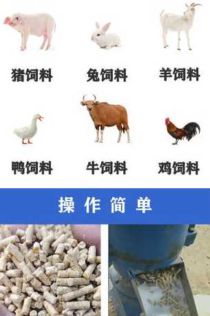 猪饲料跟鸡饲料加工差异 不少养牛户都给牛喂过猪饲料和鸡饲料,这是为什么