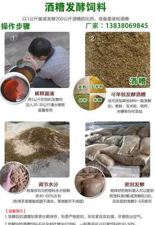 液态酒糟如何配养猪饲料 酒糟怎样发酵成猪饲料