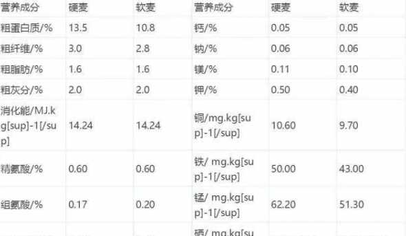 鸡饲料里掺多少小麦合适 鸡饲料,玉米和小麦麸最佳比例
