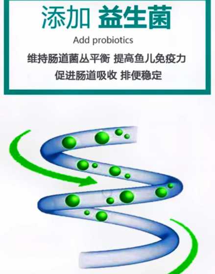 鱼饲料加多少赖氨酸合适 鱼料赖氨酸占多少比例好