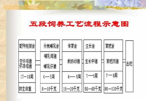 求教槽猪料生产工艺流程 教槽料、乳猪料、开口料什么意思