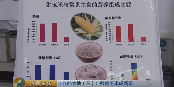 为什么玉米要分等级饲喂 请教:压片玉米要比普通玉米饲喂肉牛好吗