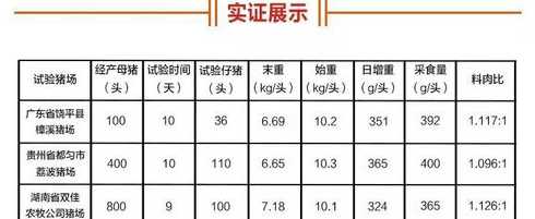 如何提高新生仔猪成活率 怎样提高仔猪成活率