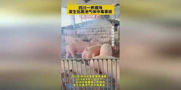 四川为什么不批养猪场了 四川省广安市岳池县办一个养猪场政府有什么补贴