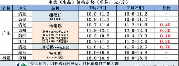 白鸭价格一般多少钱一斤 白条鸭是什么品种鸭2024白条鸭批发价多少钱一斤
