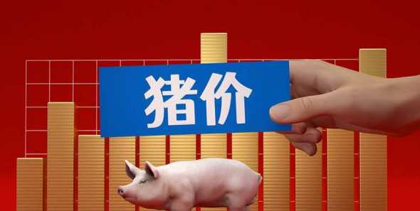 2024年12月6猪价 2024年下半年养猪前景如何呢养猪的成本与利润分析