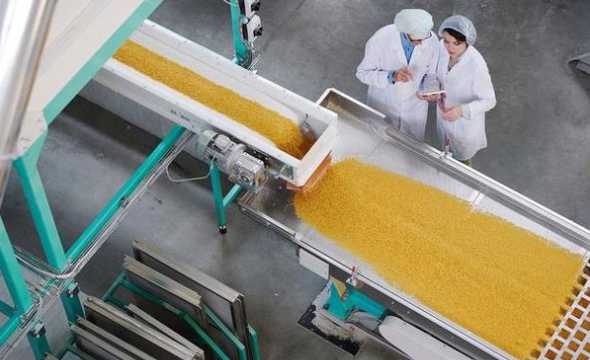 玉米压片饲料增值税抵扣 母猪喂玉米压片饲料比玉米好吗