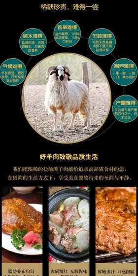 宁夏羊饲料都有哪些品牌 中国牛羊饲料10大品牌